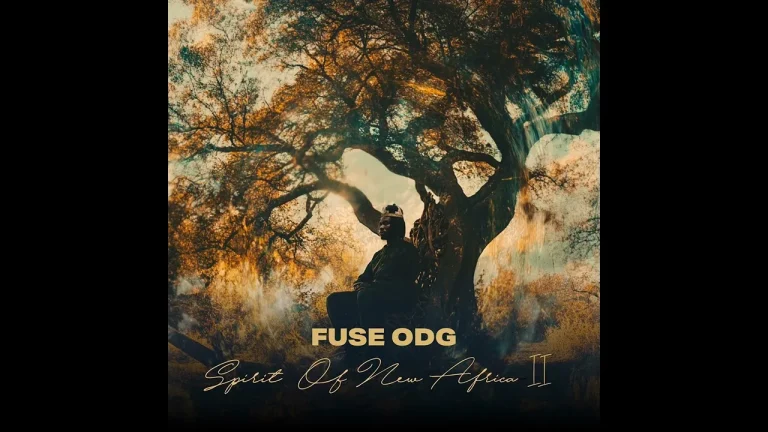 Fuse ODG - Papi