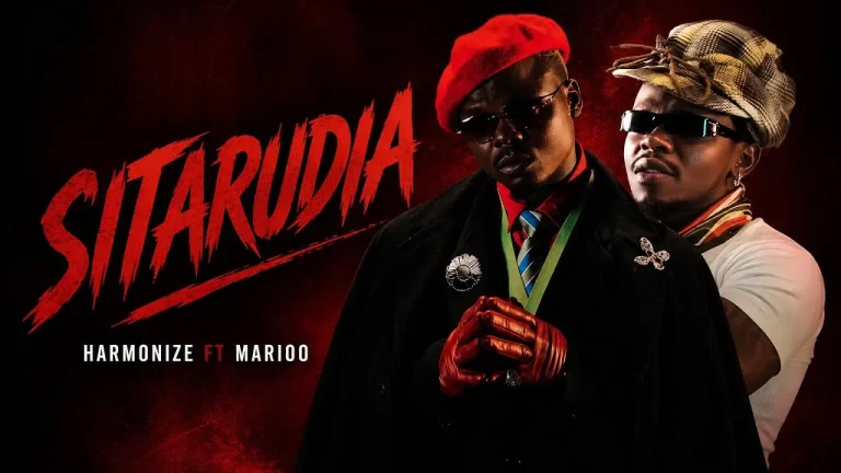 Harmonize - Sitarudia Ft. Marioo