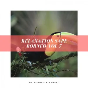 Mr. Borneo Kinabalu - Relaxation Sape Borneo, Vol. 7