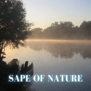 Mr. Borneo Kinabalu - Sape of Nature