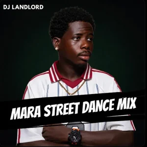 DJ Landlord - Mara Dance Fever (Jam)