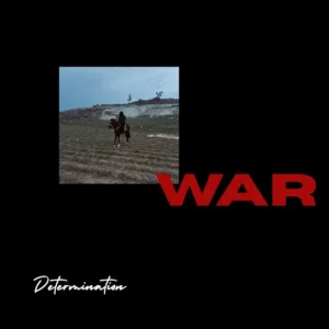 Determination - WAR