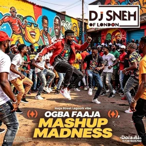 Dj sneh - Ogba Faaja