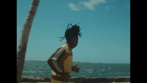 D'yani - Journey