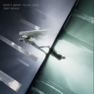ILLENIUM - Don't Want Your Love (Grey Remix) Ft. Grey & Ellie Goulding