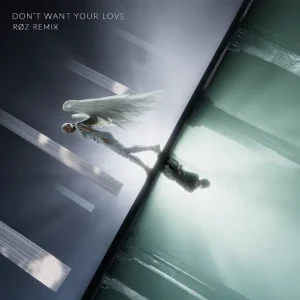 ILLENIUM - Don't Want Your Love (ROZ Remix) Ft. ROZ & Ellie Goulding