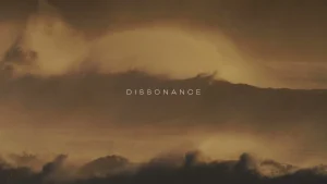 R3DN1K - Dissonance