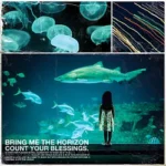 Bring Me The Horizon - Count Your Blessings | Repented (Full Album)