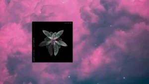 Andy Leech - Follow Me Ft. Victoriya