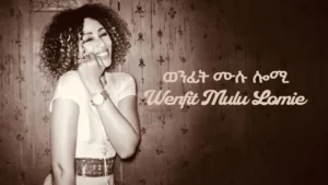 Aster Aweke - Wenfit Mulu Lomie