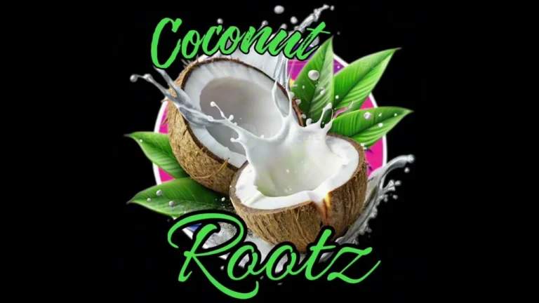 Coconut Rootz My Everything