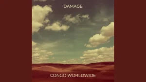 CONGO WORLDWIDE - Damage