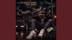 Dj Shaolin Temple - Seyi Tinubu Cruise Beat Ft. dj chicken