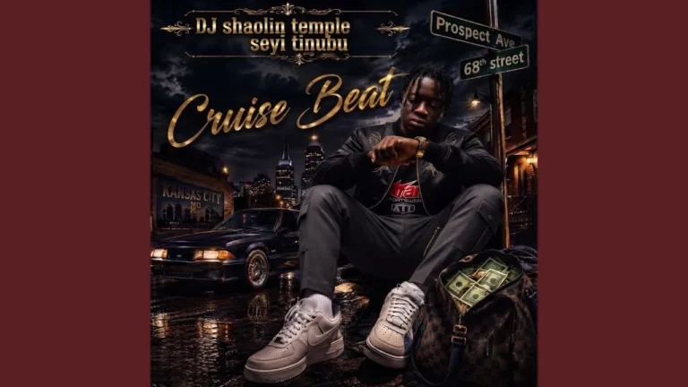 Dj Shaolin Temple - Seyi Tinubu Cruise Beat Ft. dj chicken