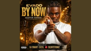 Dj Smart Excel Evado By Now Guitar Dance Ft Silent Stringz