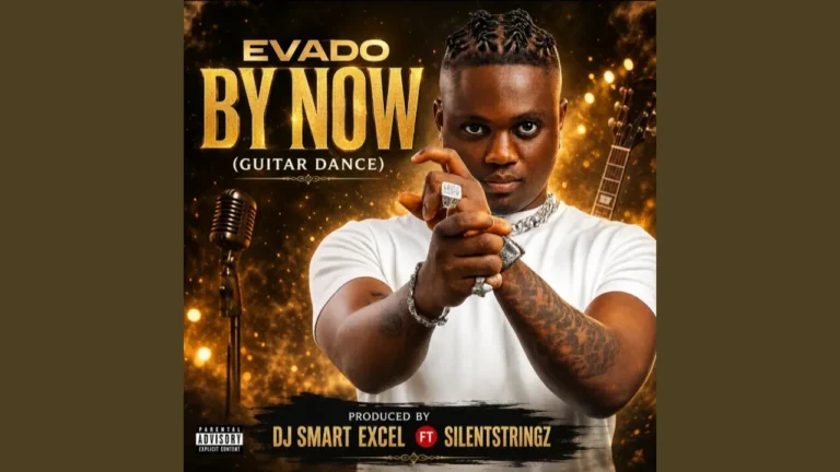 Dj Smart Excel Evado By Now Guitar Dance Ft Silent Stringz