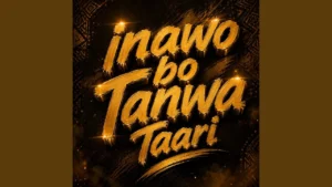 Dj1shot Inawo Bo Tanwa Taari