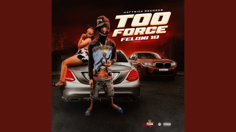 Feloni19 Too Force Ft Hattrick Recordz