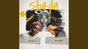 Indriza - Shayla Ft. Cazulee