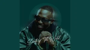 Jazzwrld Uphuliinhlizayo Yam Ft Ciniso