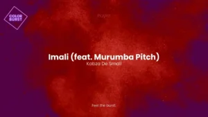 Kabza De Small Imali Ft Murumba Pitch