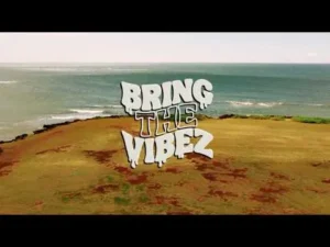 LAVA - BRING THE VIBEZ