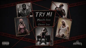 Monifa Goss - Try Mi Remix Ft. Chronic Law