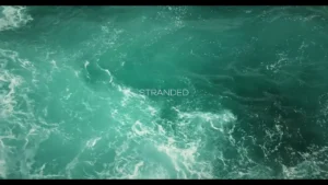 R3DN1K - Stranded