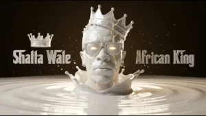 Shatta Wale - ANFA