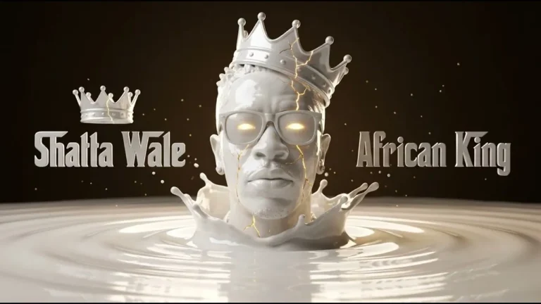 Shatta Wale - ANFA