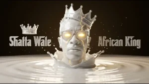 Shatta Wale - RUN THIS
