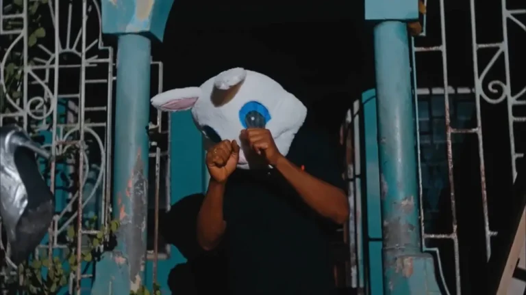 Teejay - Force (Official Music Video)