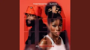 Thatohatsi - Ama hem hem Ft. Sjava & ShaunMusiq