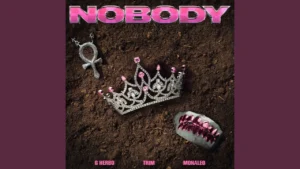 Trim - Nobody Ft. Monaleo & G Herbo