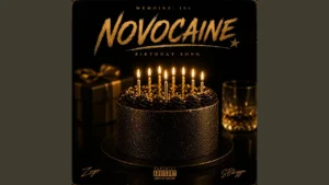 Zugo Novocaine Birthday Song Ft Sbtrigga