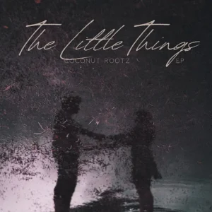 Coconut Rootz - The Little Things (EP)