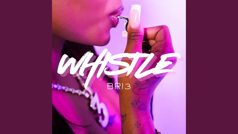 Bri3 Whistle
