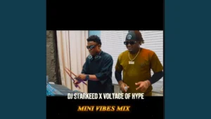 Dj Starkeed Mini Vibes Mix Feat Voltage Of Hype Radio Edit Ft Voltage Of Hype