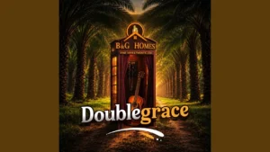 Doublegrace B G Homes And Investments Ltd Ft Naijasure Portal