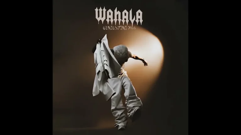 Genius Jini X66 Wahala