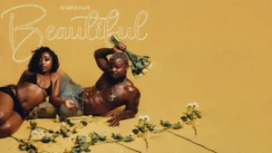 Harmonize Beautiful Lyrics Audio