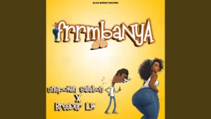 Unspoken Salaton Frrmbanya Vocals Ft Breeder Lw