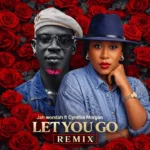 JAH Wondah - Let You Go (Remix) Ft. Cynthia Morgan